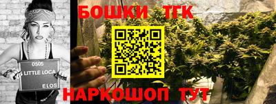 тгк Новодвинск