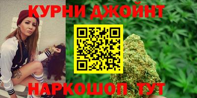 тгк Новодвинск