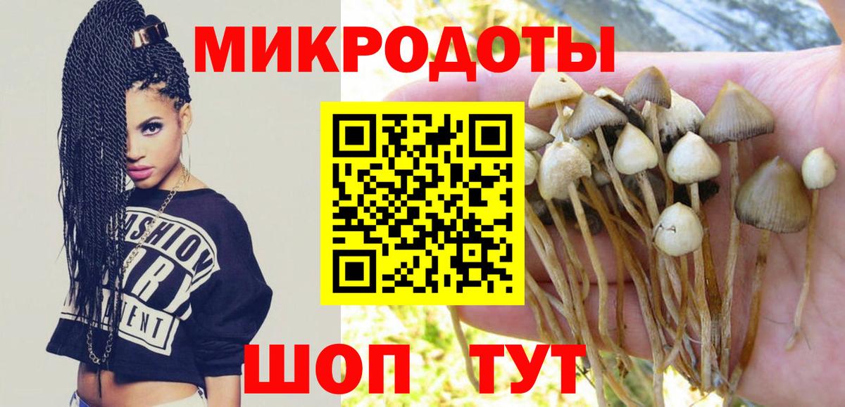 Новокубанск  даркнет сайт  Вход с VPN  Псилоцибиновые грибы Cubensis 